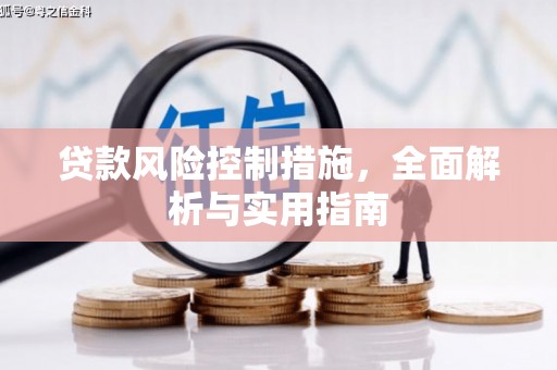 乐山贷款风险控制措施，全面解析与实用指南