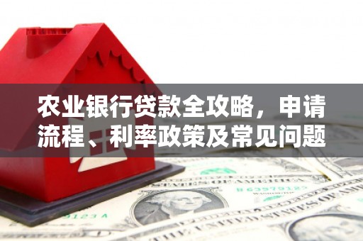 乐山农业银行贷款全攻略，申请流程、利率政策及常见问题解析