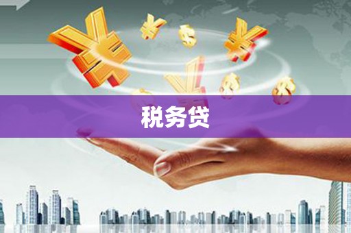 乐山税务贷