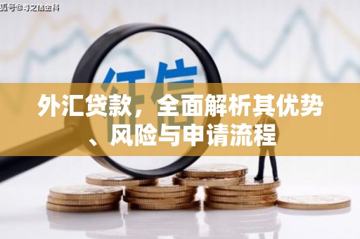 乐山外汇贷款，全面解析其优势、风险与申请流程
