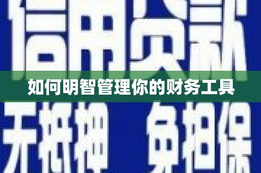 乐山如何明智管理你的财务工具