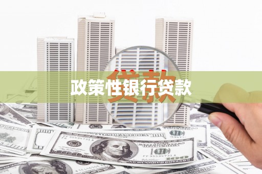 乐山政策性银行贷款