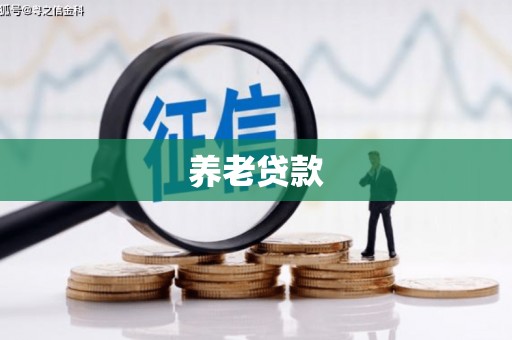 乐山养老贷款