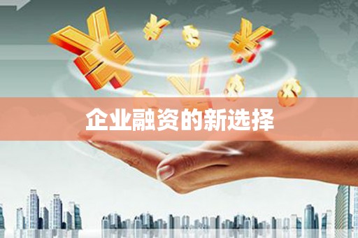乐山企业融资的新选择