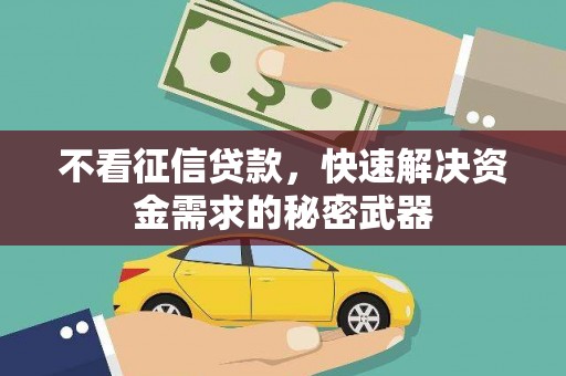 乐山不看征信贷款，快速解决资金需求的秘密武器