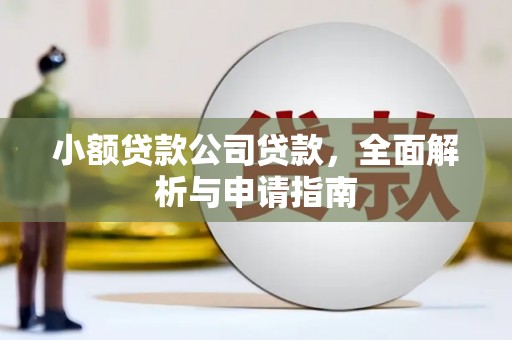 乐山小额贷款公司贷款，全面解析与申请指南