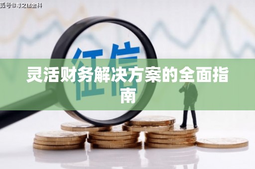 乐山灵活财务解决方案的全面指南