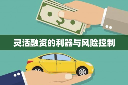 乐山灵活融资的利器与风险控制