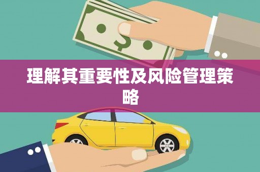 乐山理解其重要性及风险管理策略