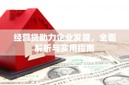 乐山经营贷助力企业发展，全面解析与实用指南