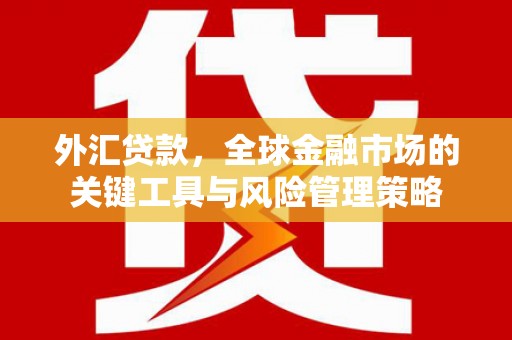 乐山外汇贷款，全球金融市场的关键工具与风险管理策略