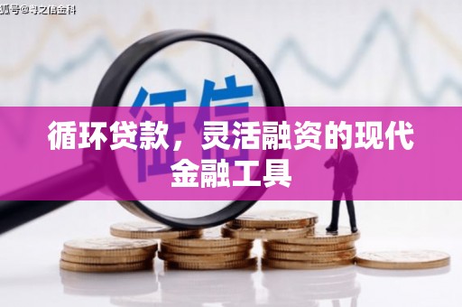 乐山循环贷款，灵活融资的现代金融工具