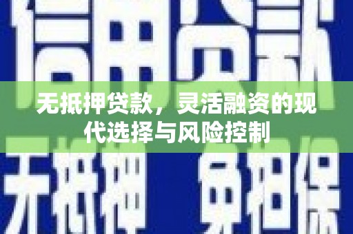 乐山无抵押贷款，灵活融资的现代选择与风险控制