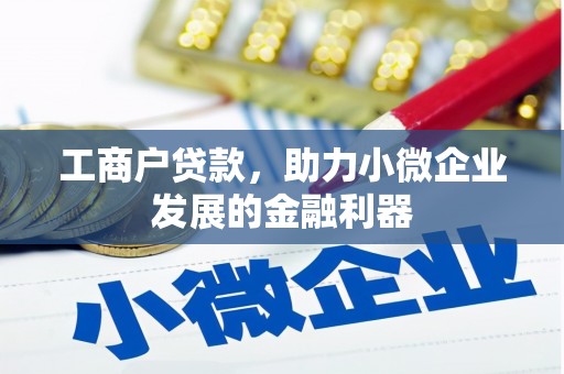 乐山工商户贷款，助力小微企业发展的金融利器