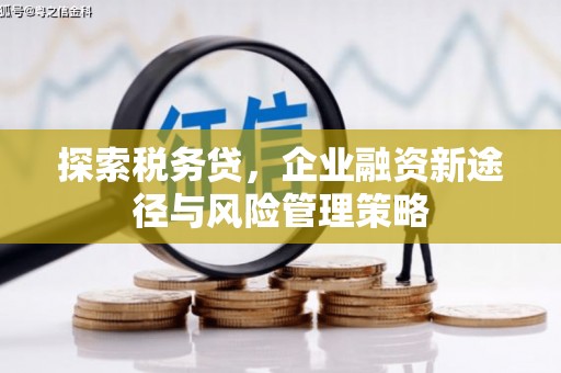 乐山探索税务贷，企业融资新途径与风险管理策略
