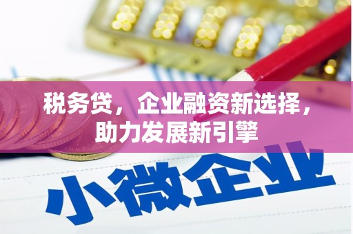 乐山税务贷，企业融资新选择，助力发展新引擎