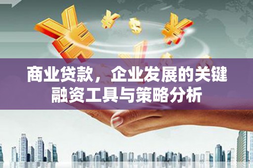 乐山商业贷款，企业发展的关键融资工具与策略分析
