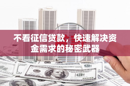乐山不看征信贷款，快速解决资金需求的秘密武器