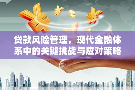乐山贷款风险管理，现代金融体系中的关键挑战与应对策略
