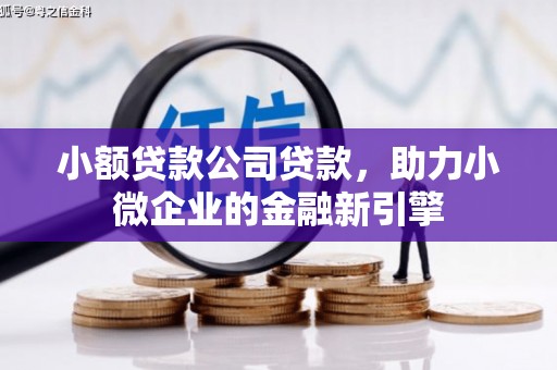 乐山小额贷款公司贷款，助力小微企业的金融新引擎