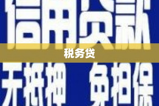 乐山税务贷