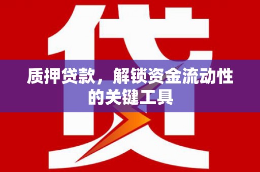 乐山质押贷款，解锁资金流动性的关键工具