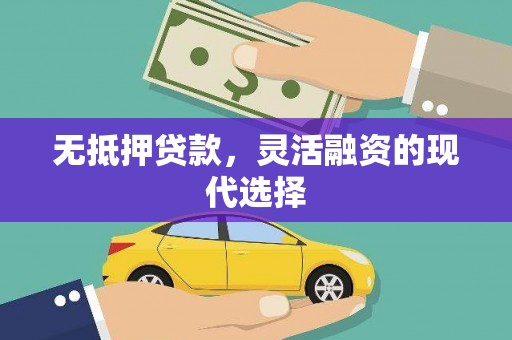 乐山无抵押贷款，灵活融资的现代选择