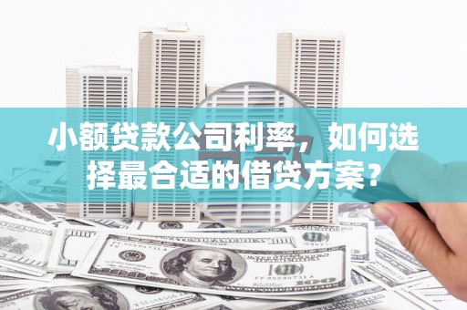 乐山小额贷款公司利率，如何选择最合适的借贷方案？