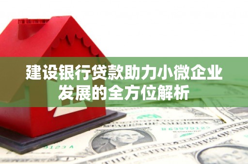 乐山建设银行贷款助力小微企业发展的全方位解析