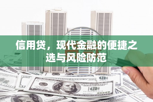 乐山信用贷，现代金融的便捷之选与风险防范