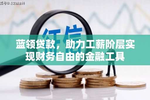 乐山蓝领贷款，助力工薪阶层实现财务自由的金融工具