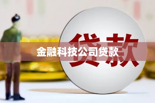 乐山金融科技公司贷款