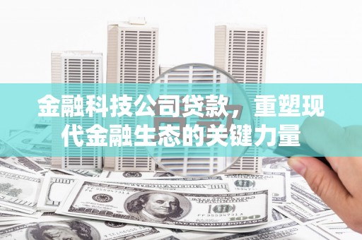 乐山金融科技公司贷款，重塑现代金融生态的关键力量