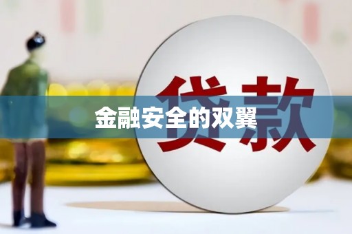 乐山金融安全的双翼