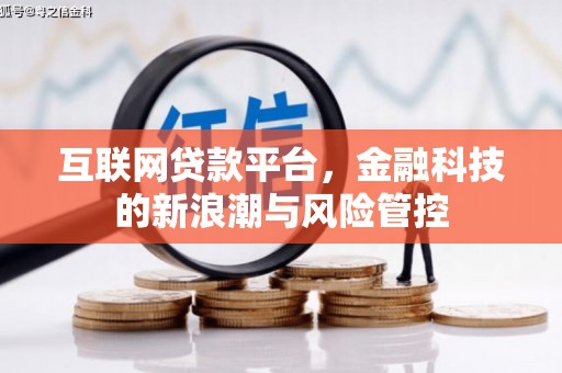 乐山互联网贷款平台，金融科技的新浪潮与风险管控