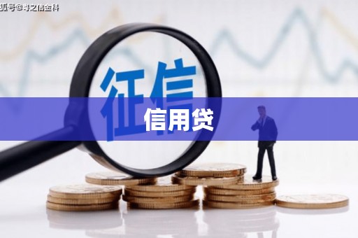 乐山信用贷