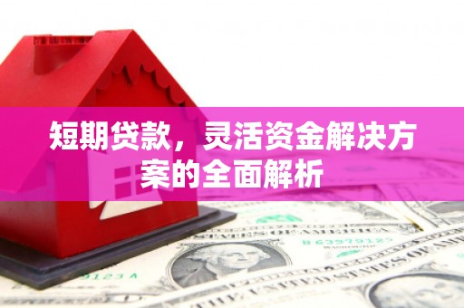 乐山短期贷款，灵活资金解决方案的全面解析