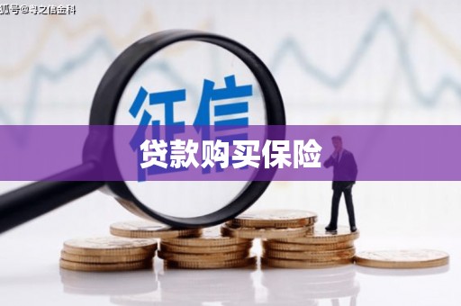 乐山贷款购买保险