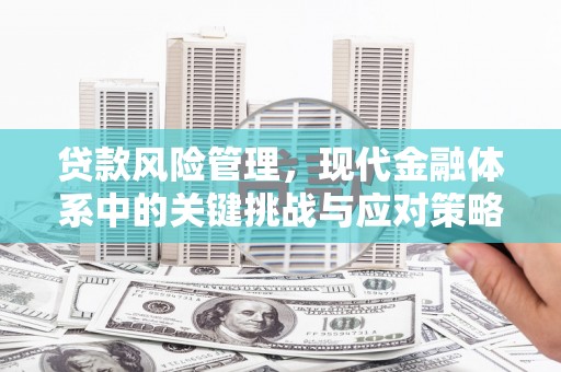 乐山贷款风险管理，现代金融体系中的关键挑战与应对策略