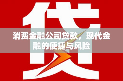乐山消费金融公司贷款，现代金融的便捷与风险