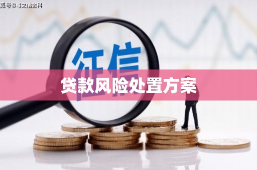 乐山贷款风险处置方案